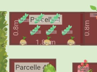 POTAGER 2024