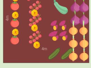 Printemps/été 2023