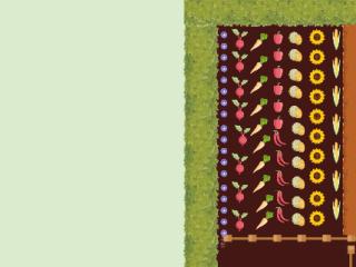 Mon potager 2024