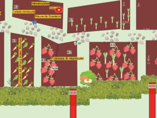 Jardin en Herbes janvier2024