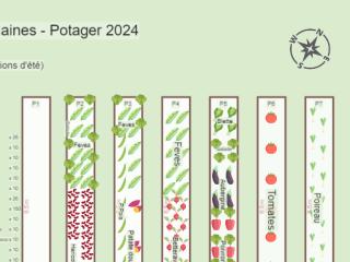 Mouflaines - Potager 2024- Plantations d'été