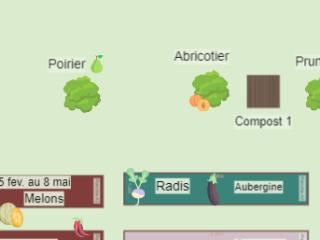 Mon potager 2023 C