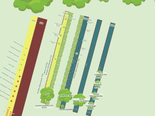 Vue d'ensemble 2024