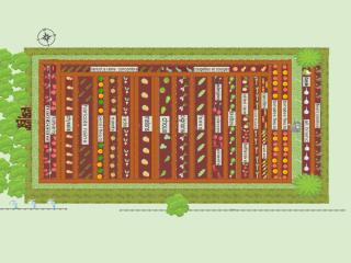 potager des PP 2024