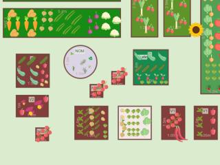potager