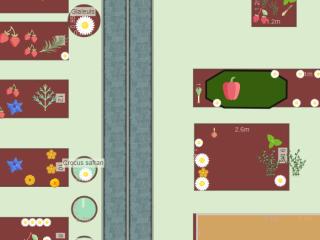Mon potager en décembre 2023