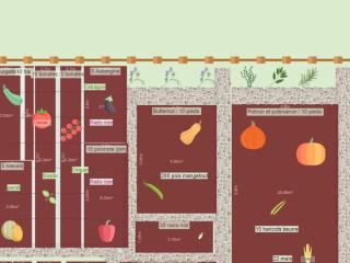 Mon potager 2024 v2