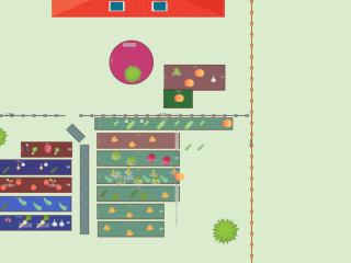 Mon potager 2024
