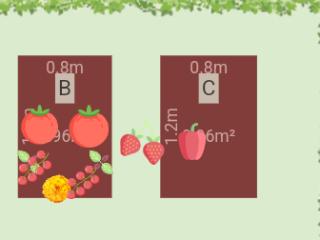 Potager 2024