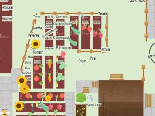Potager 2024 juin juillet