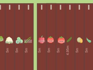 Mon Potager 2024