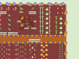 Potager 2024 Petite Creuse #3