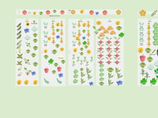Mon potager