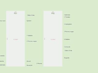 Mon potager 2