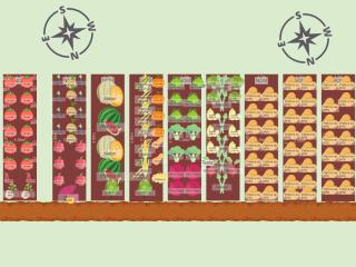 Mon potager Juin-Septembre