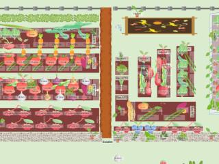 Potager VJH54_2024