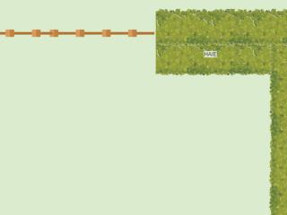 Potager 2024