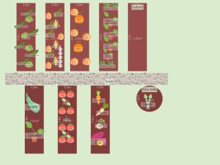 Potager 2024 V2(copie)