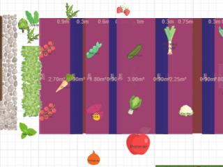 Mes potagers 2025
