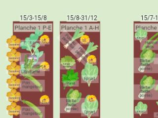 Mon potager