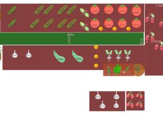 Potager 2025