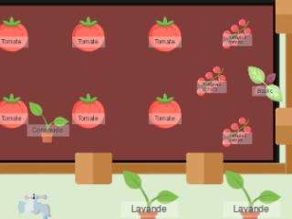 Mon potager 2024
