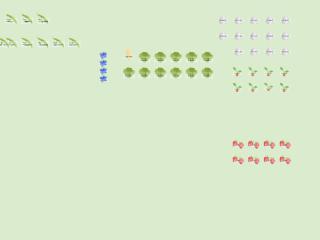Potager famille