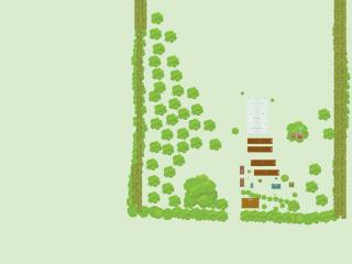 Mon potager