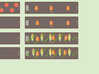 Mon potager 2022
