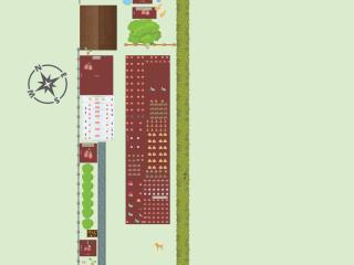 Potager de Thierry 2024 Châtelineau Belgique