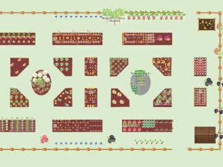 Potager 2024