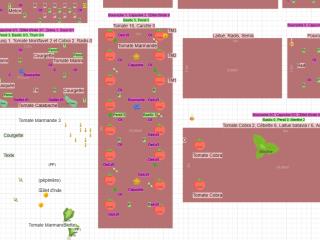 Mon potager 2025