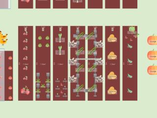 Potager 2024