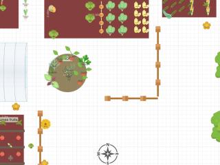 Potager 2025 - Printemps Eté