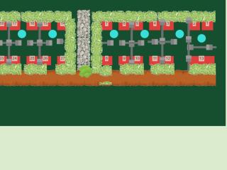 Plan jardin