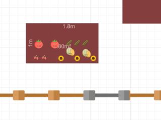 Potager 2025