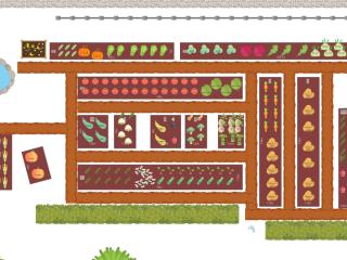 Potager 2025