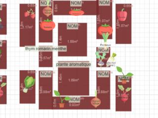 Mon potager