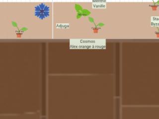 Mon potager