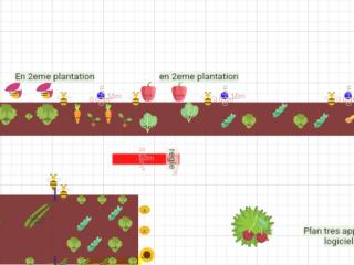 Potager 2025