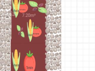 Grand potager