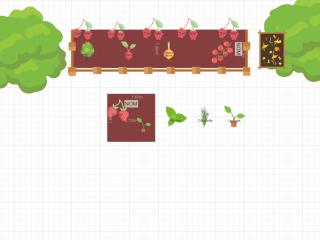 Potager espace condorcet