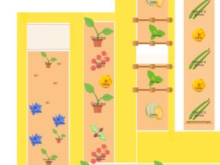 Potager parcelle n°3 AVEC légumes