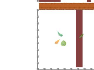 Mon potager 2025