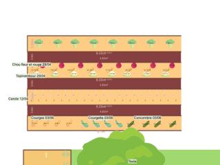 Mon potager 2026