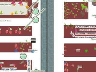 Potager fin 2025 - 2026