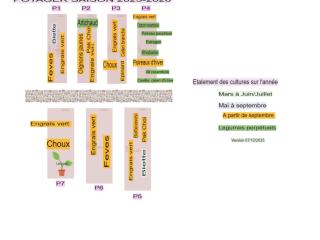 Potager saison 2025 - 2026