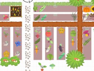 Mon potager