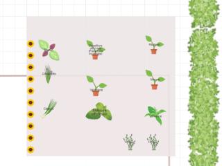 Mon potager