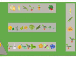 Mon potager